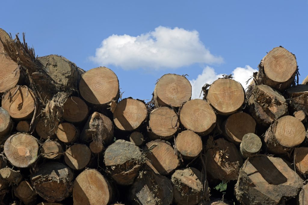 Q&A: Deducting Culled Trees - Andrew Bosserman, CPA